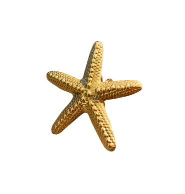Anillo Gran Estrella Marina